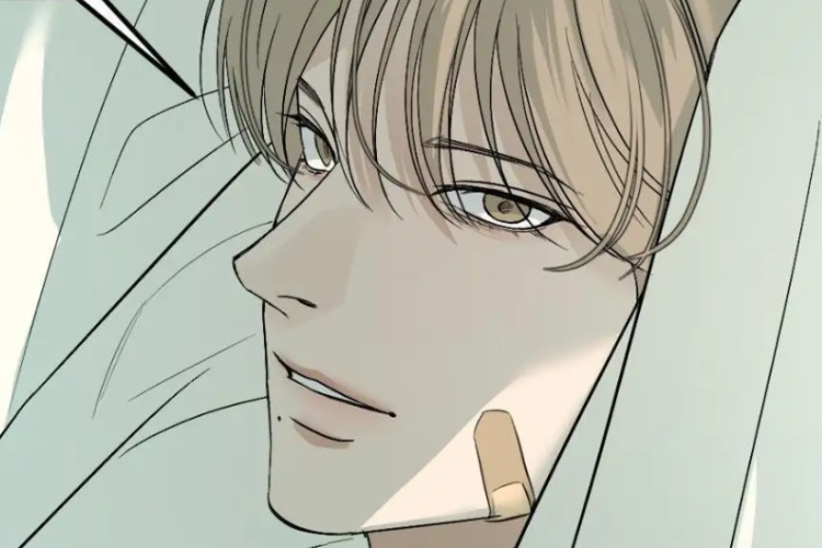 Yanan Aşk! Spoiler & Okuma Bağlantıları BL Manhwa Backlight 50 Bölüm Türkçe Scan