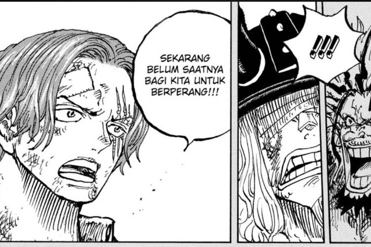 ONE PIECE 1190. Bölüm Hakkında En Son Sızıntılar, Luffy Saldırıya Uğradı!