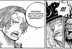 ONE PIECE 1190. Bölüm Hakkında En Son Sızıntılar, Luffy Saldırıya Uğradı!